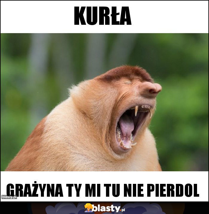 Kurła