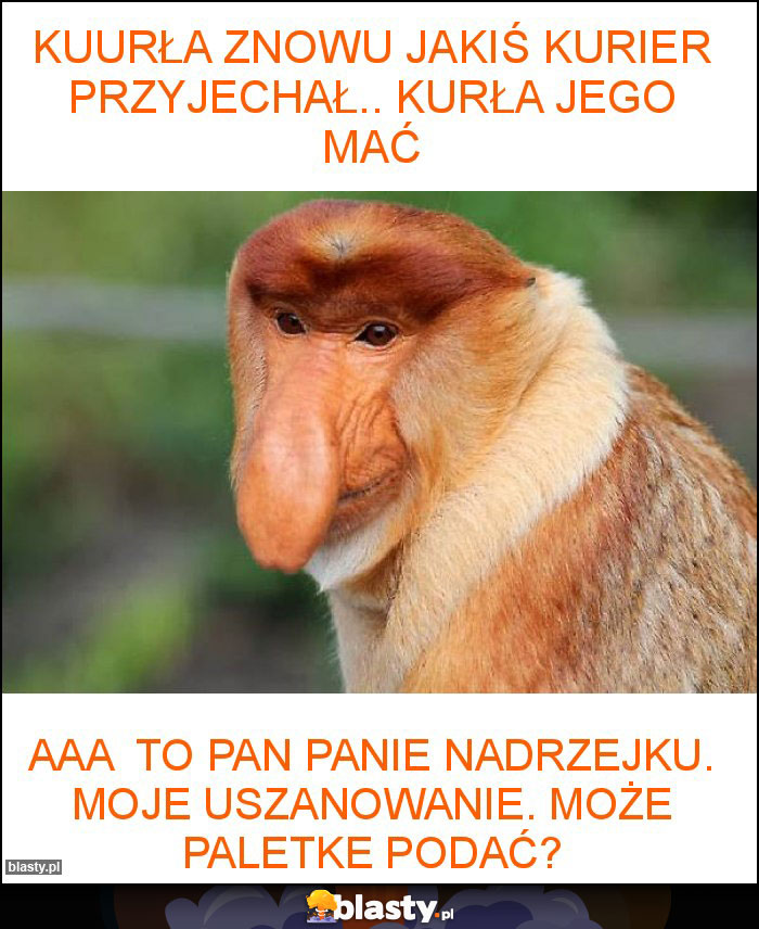 Kuurła znowu jakiś kurier przyjechał.. Kurła jego mać