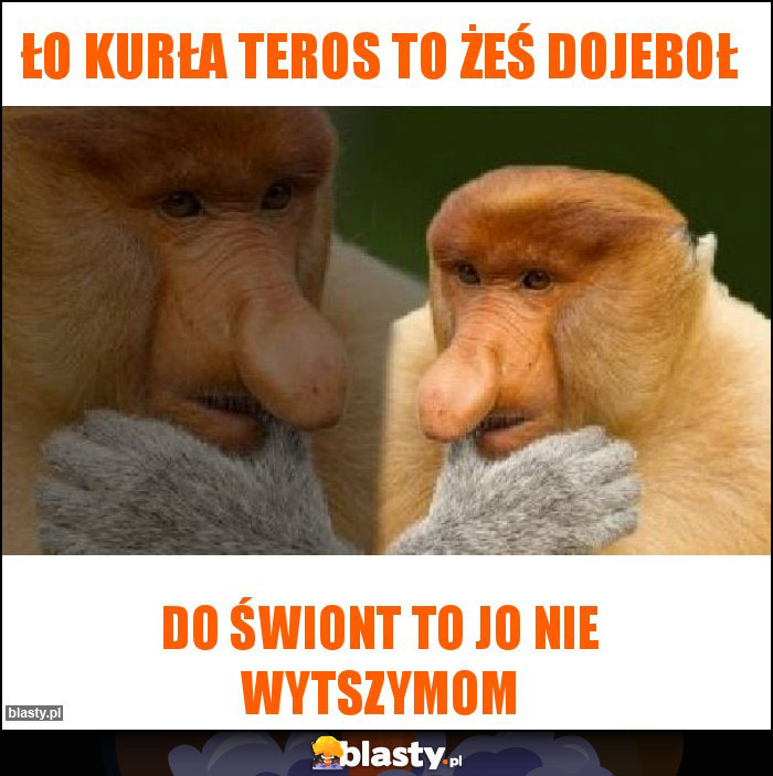 Ło kurła teros to żeś dojeboł