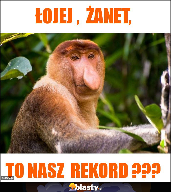 ŁOJEJ ,  ŻANET,