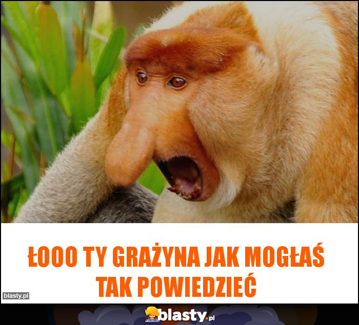 Łooo Ty Grażyna jak mogłaś tak powiedzieć