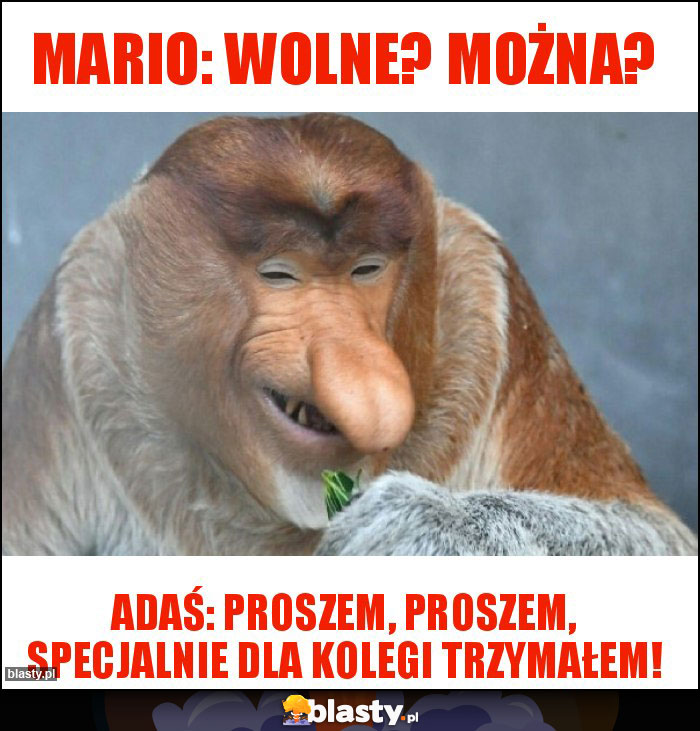 Mario: Wolne? Można?