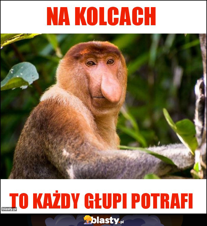 na kolcach