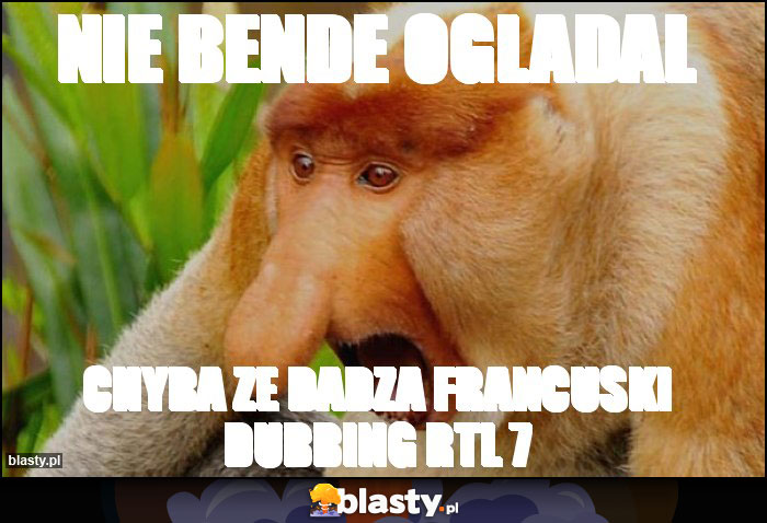 NIE BENDE OGLADAL