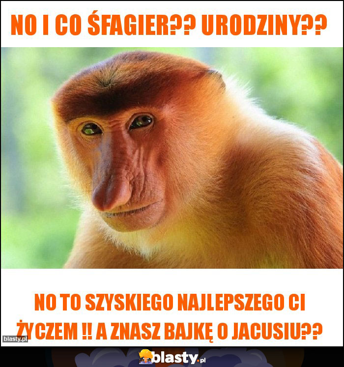 No i co śfagier?? Urodziny??