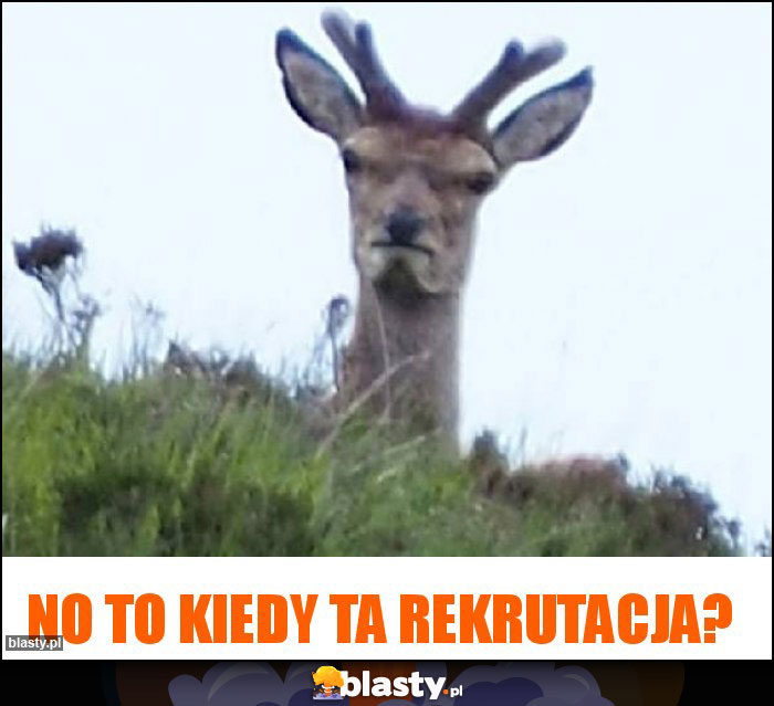 No to kiedy ta rekrutacja?