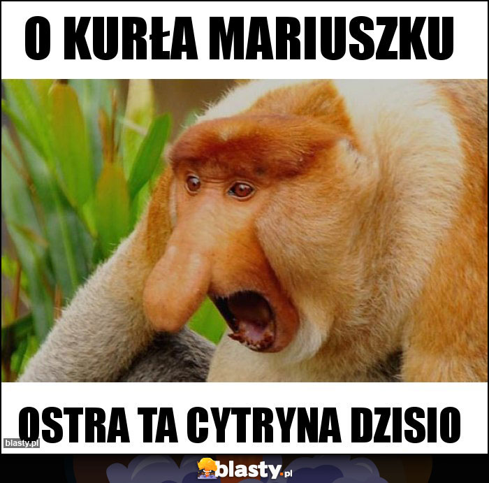 O kurła mariuszku