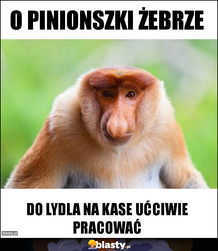 O Pinionszki żebrze