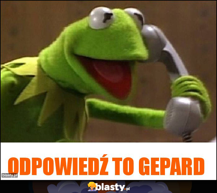 Odpowiedź to GEPARD