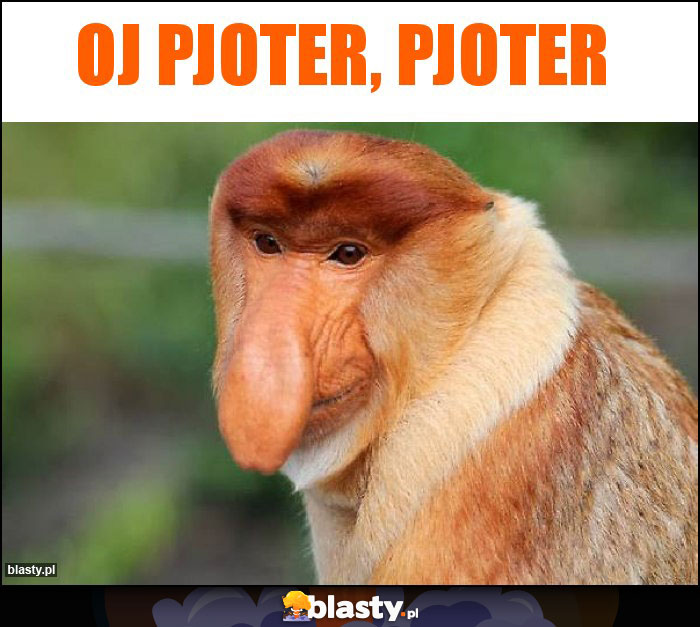 Oj pjoter, pjoter