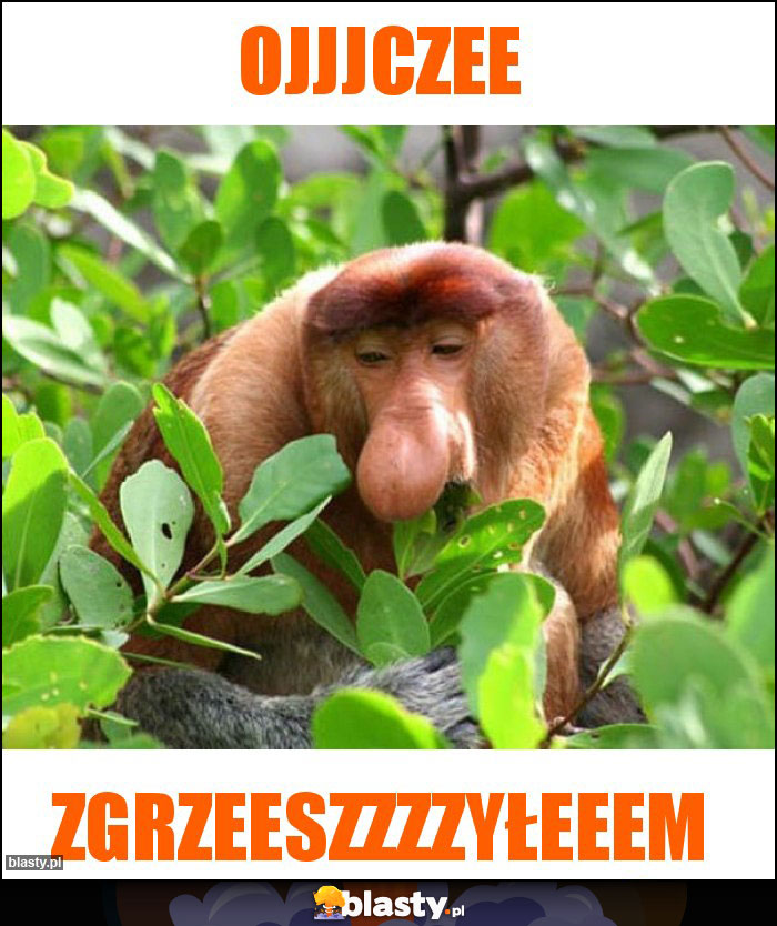 ojjjczee