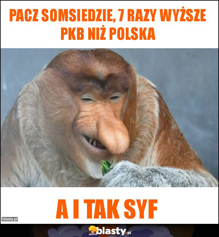 Pacz somsiedzie, 7 razy wyższe PKB niż Polska