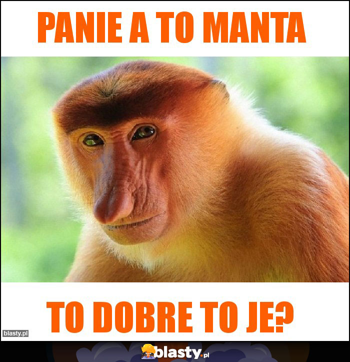 Panie a to Manta