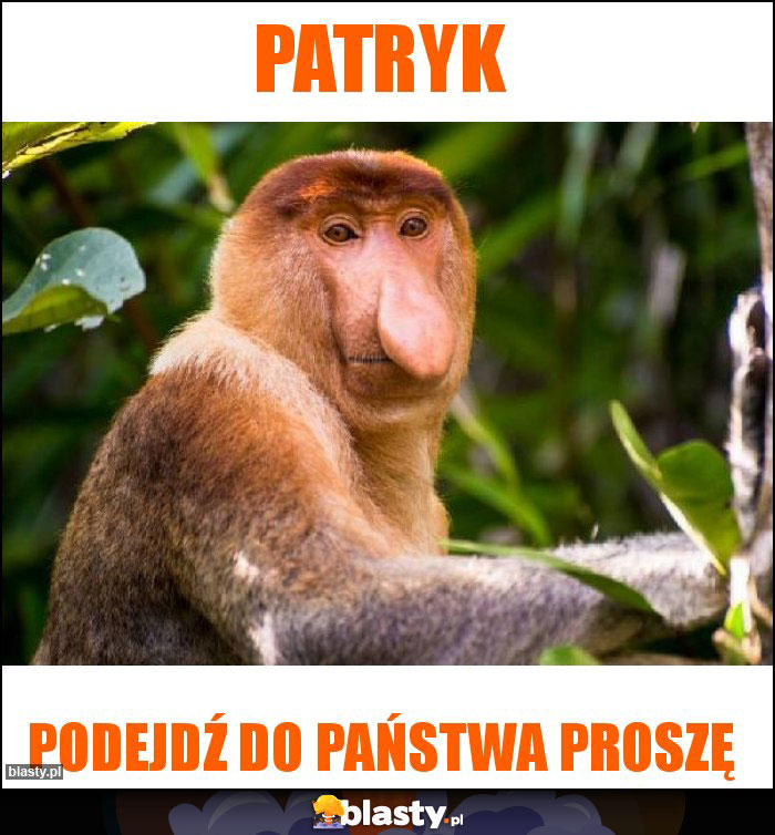 PATRYK