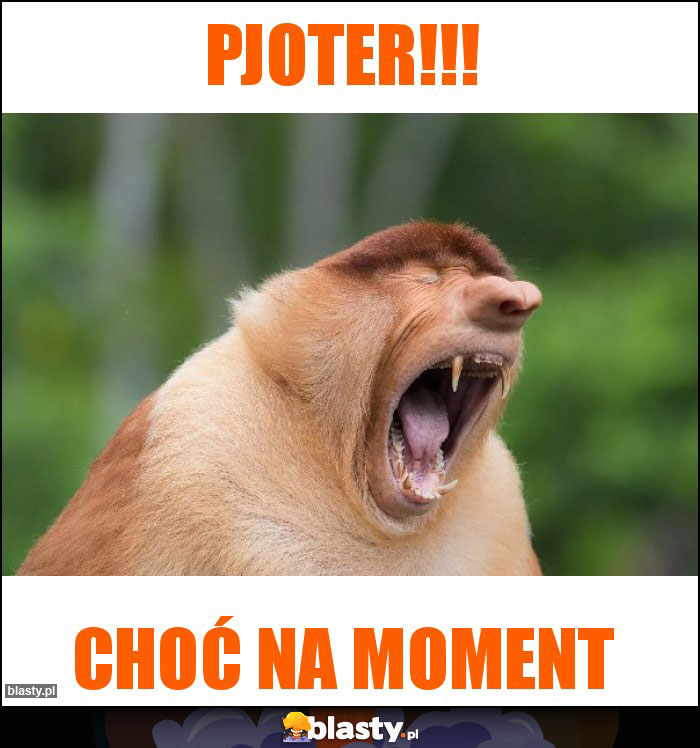 Pjoter!!!