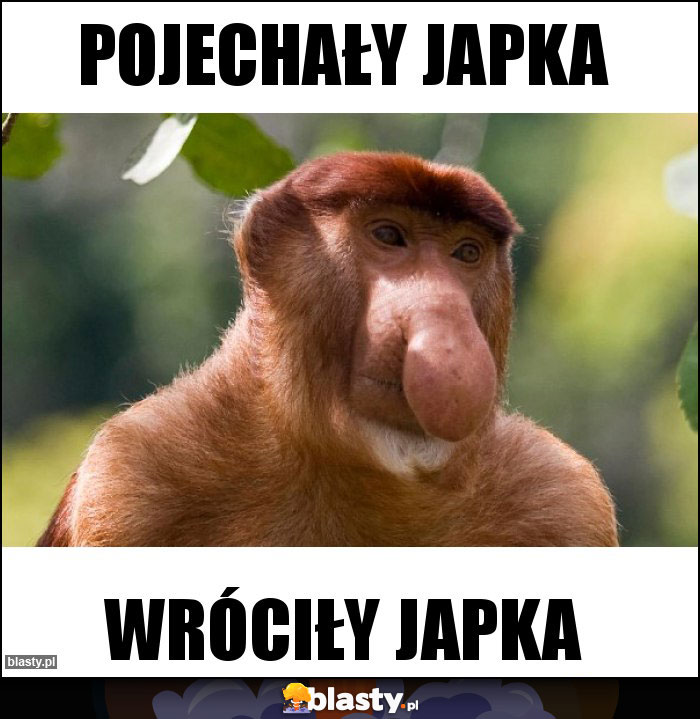 Pojechały japka