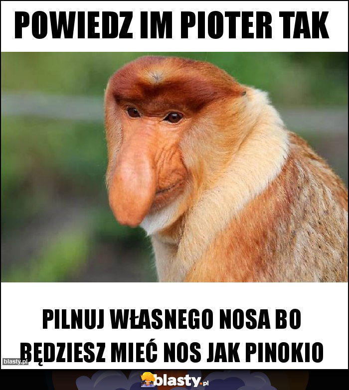 Powiedz im pioter tak