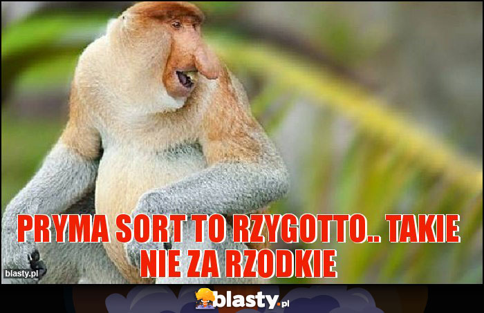 pryma sort to rzygotto.. takie nie za rzodkie