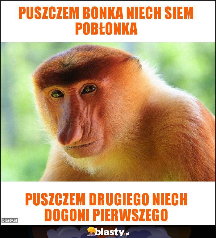 Puszczem bonka niech siem pobłonka