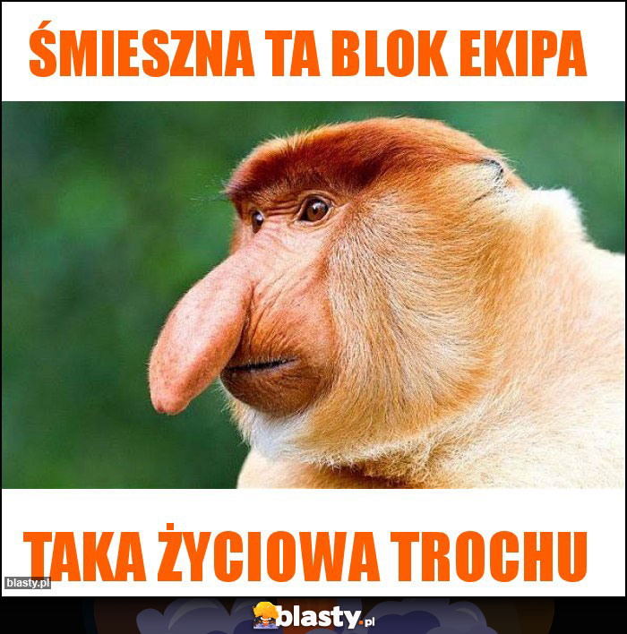 Śmieszna ta Blok Ekipa