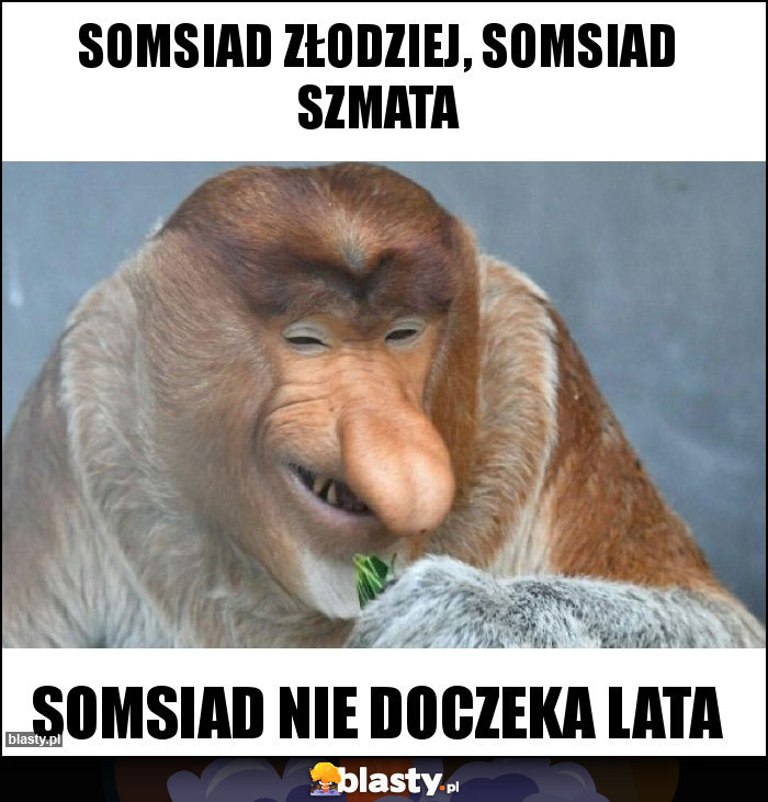 Somsiad złodziej, somsiad szmata