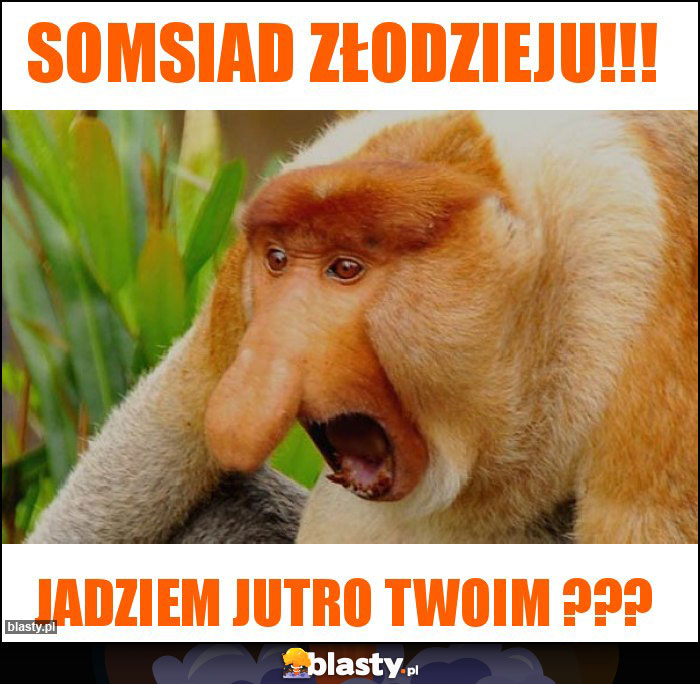 somsiad złodzieju!!!