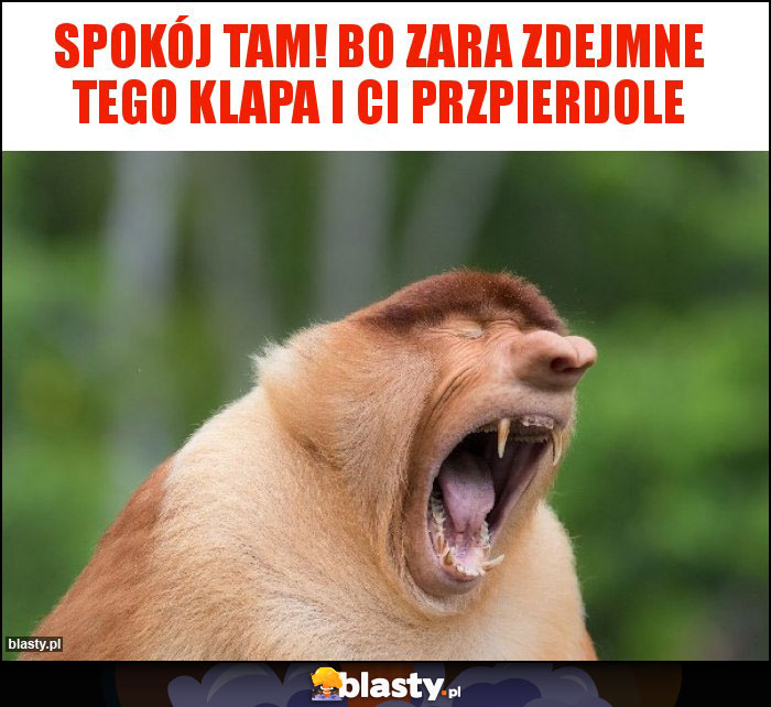 Spokój tam! Bo zara zdejmne tego klapa i Ci przpierdole