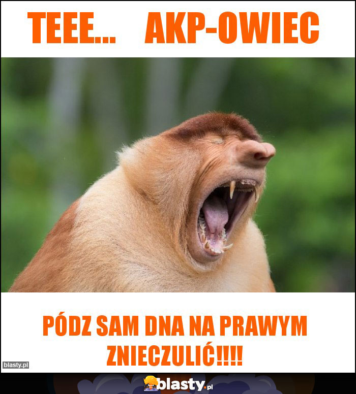 Teee...    AKP-owiec