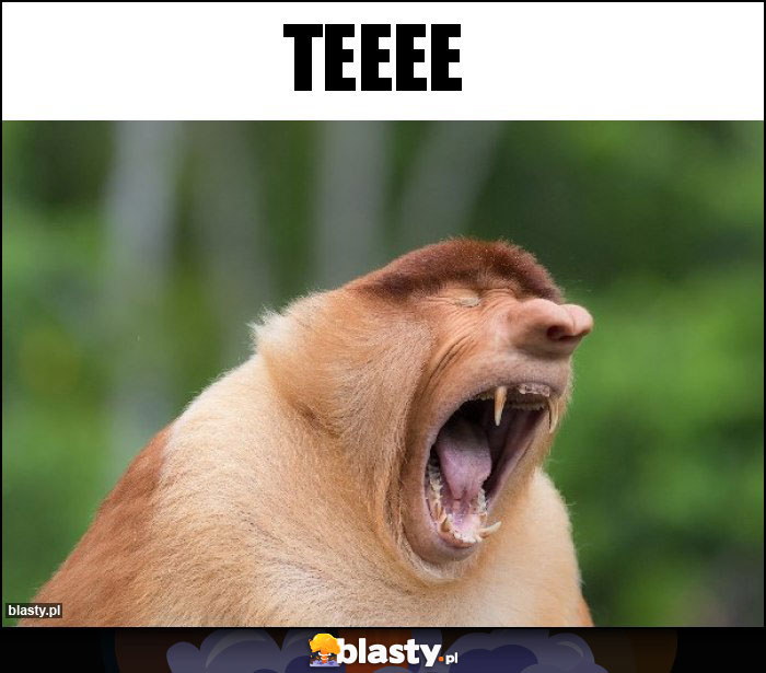 Teeee