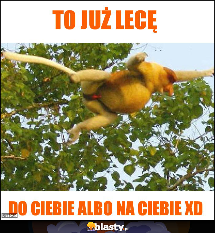 To już lecę