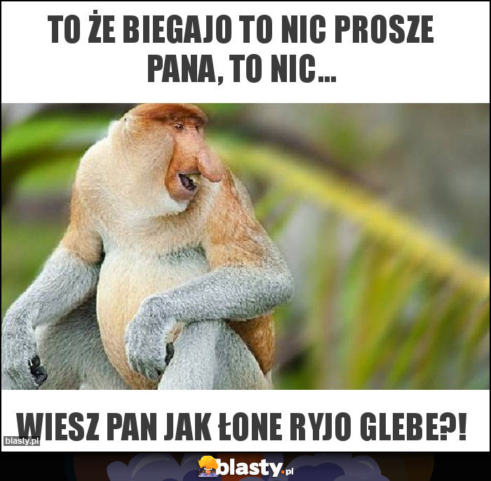 To że biegajo to nic prosze pana, to nic...