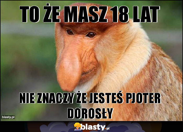 TO ŻE MASZ 18 LAT