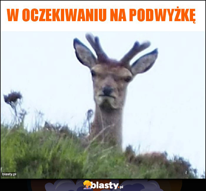 W oczekiwaniu na podwyżkę