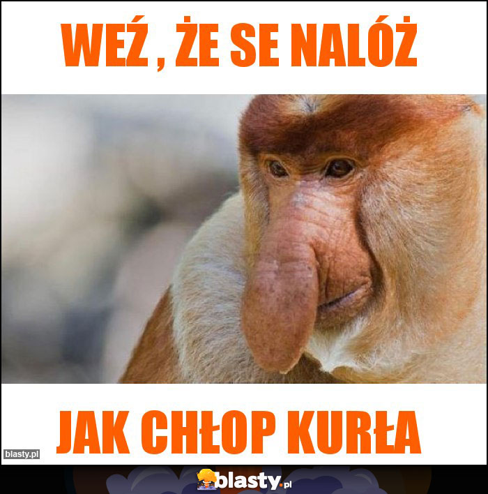 Weź , że se nalóż