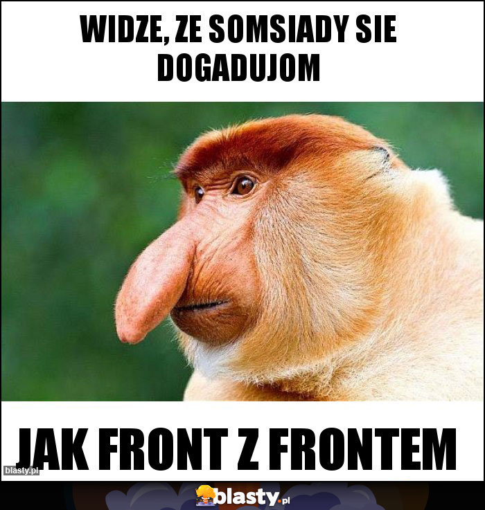 widze, ze somsiady sie dogadujom