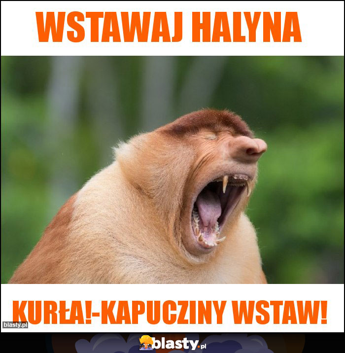 Wstawaj Halyna