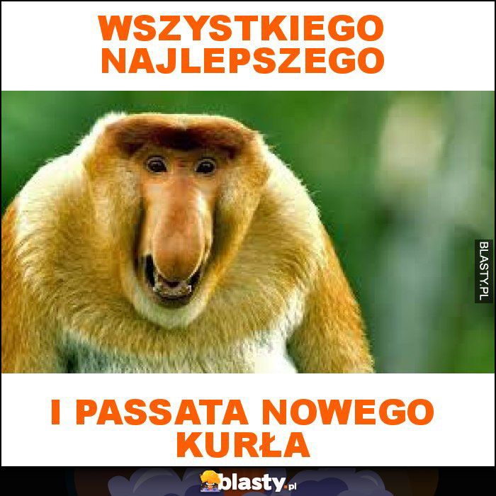 Wszystkiego najlepszego