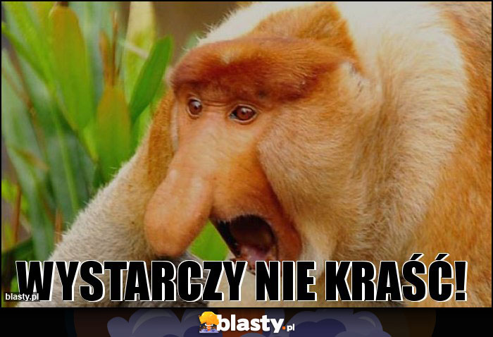 Wystarczy nie kraść!