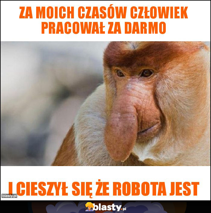 Za moich czasów człowiek pracował za darmo