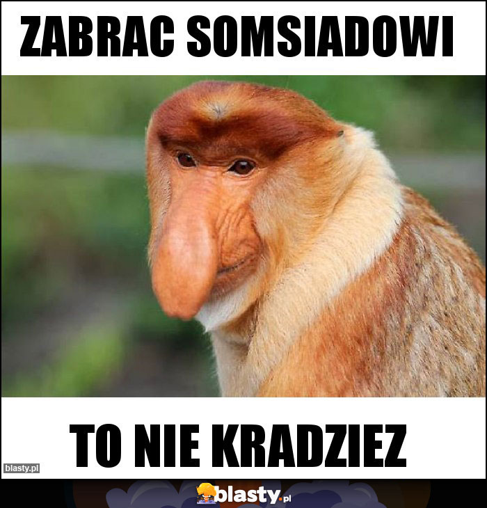 Zabrac somsiadowi