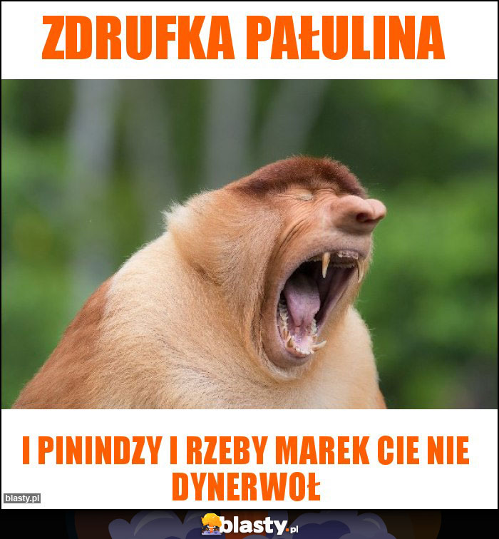 zdrufka pałulina