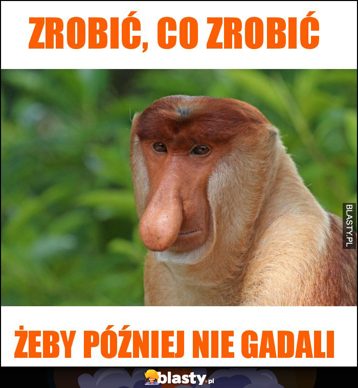 ZROBIĆ, CO ZROBIĆ