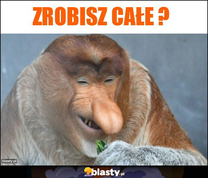 zrobisz całe ?