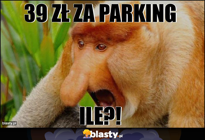 39 zł za parking