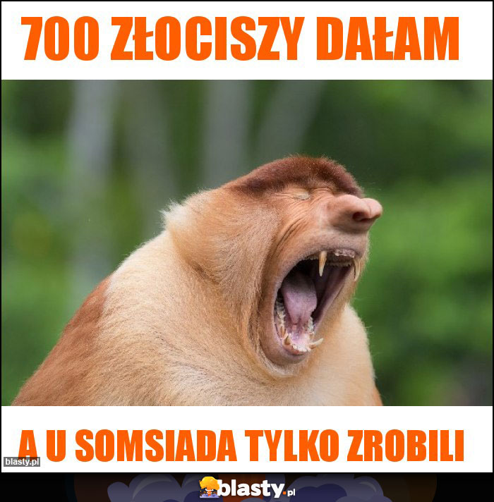 700 złociszy dałam