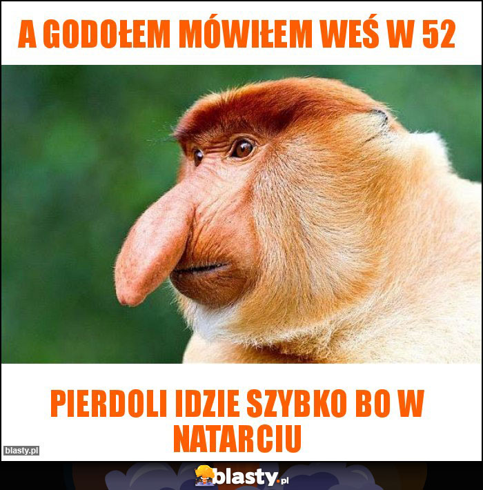 a godołem mówiłem weś w 52