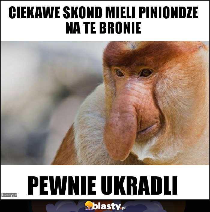 ciekawe skond mieli piniondze na te bronie