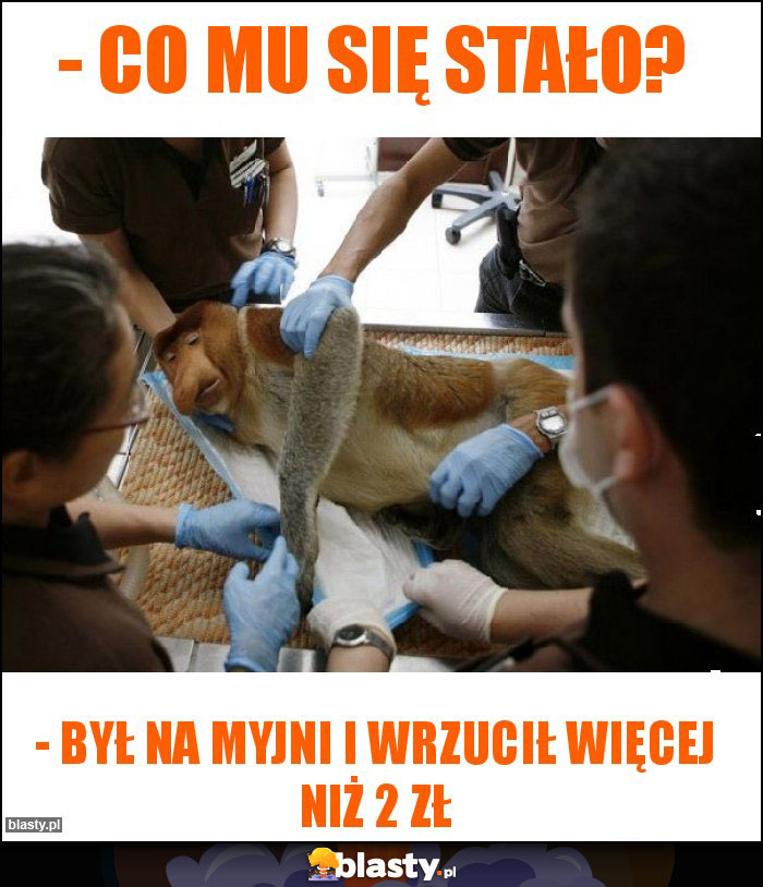 - Co mu się stało?