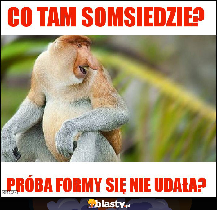 CO TAM SOMSIEDZIE?