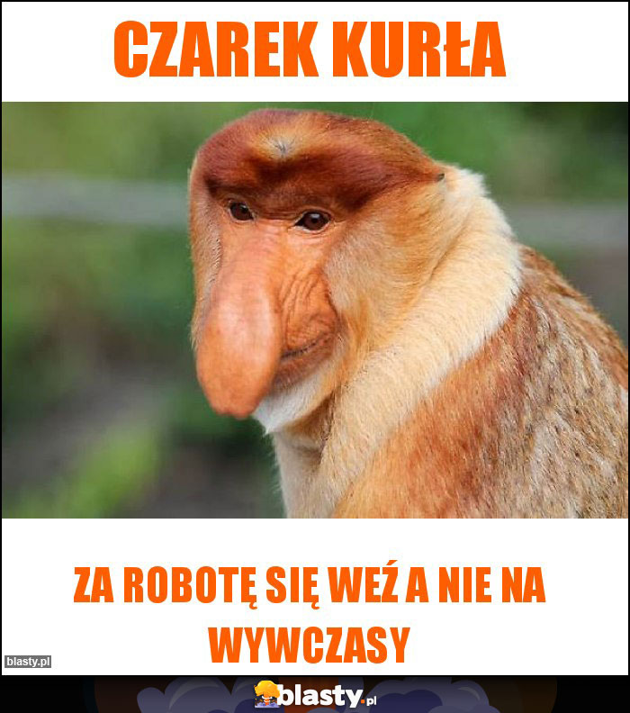 Czarek kurła